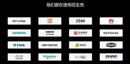 异地远程连接公司内网办公,oa erp nas 服务器安全高速访问