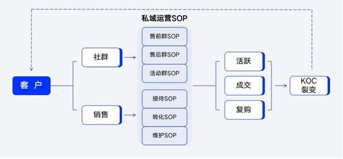 尘锋信息 私域运营需要sop,标准化成存量竞争突破口