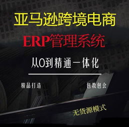 河南出售亚马逊erp管理系统一对一指导包教包会