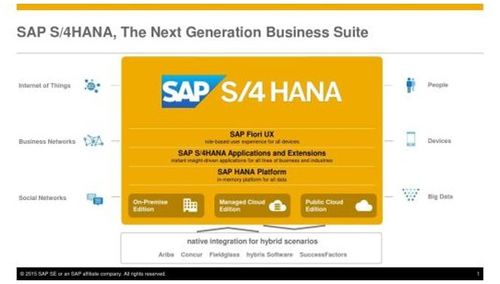 sap s 4 hana购买实施必看指南 汐帆科技